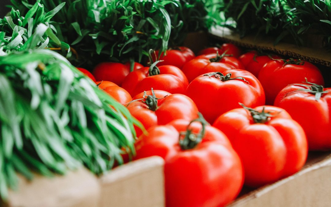 The Tomato Price Surge in India : Understanding the Factors and Implications