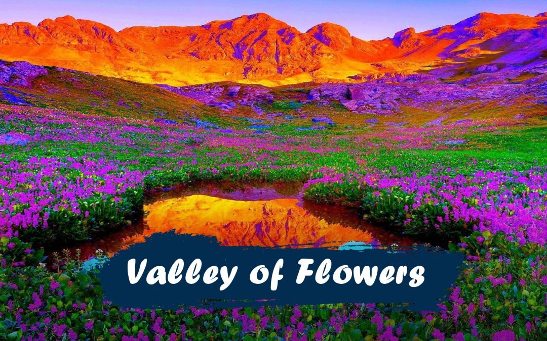 Valley of Flowers Trek-Heaven on Earth