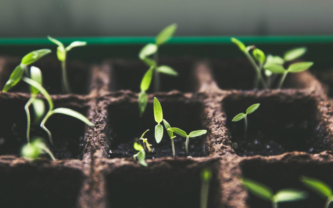 Benefits Gardening: A READ IN 2 MINUTES