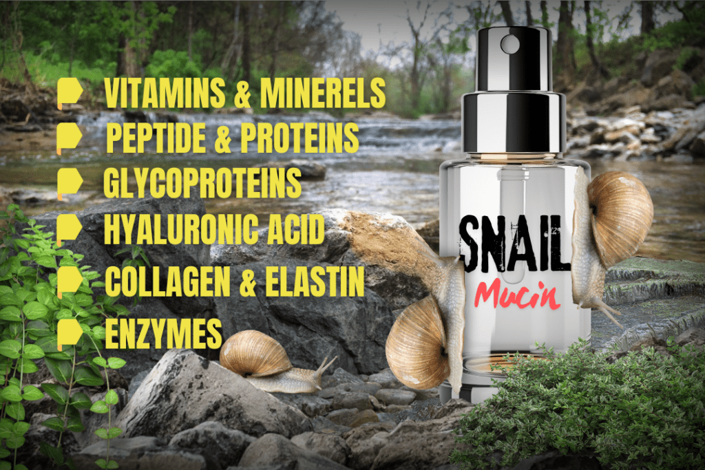 Snail mucin skincare products and benefits