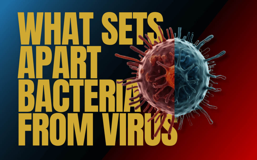 “Bacteria vs. Viruses: What Makes Them Different?”