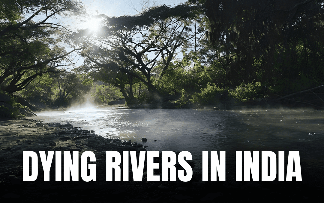 The Noiseless Emergency : Dying Rivers in India