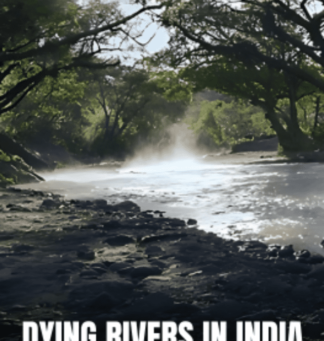 Dying rivers in India