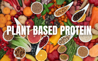 2024: Plant Based Proteins: Building a Better Tomorrow