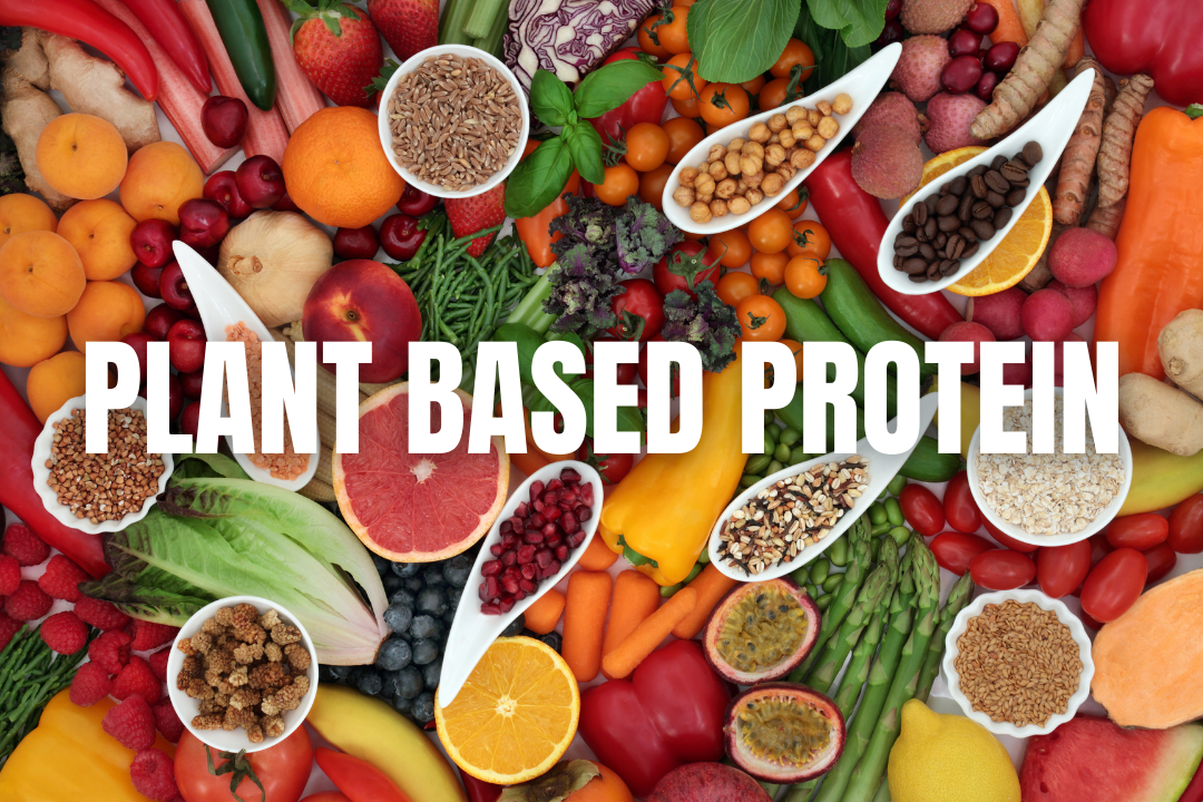 Plant Based Proteins