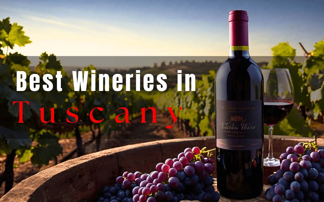 The 5 Best Wineries in Tuscany you should visit if you’re a wine lover