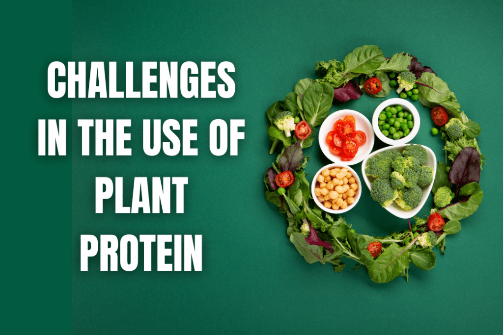 Plant-Based Proteins