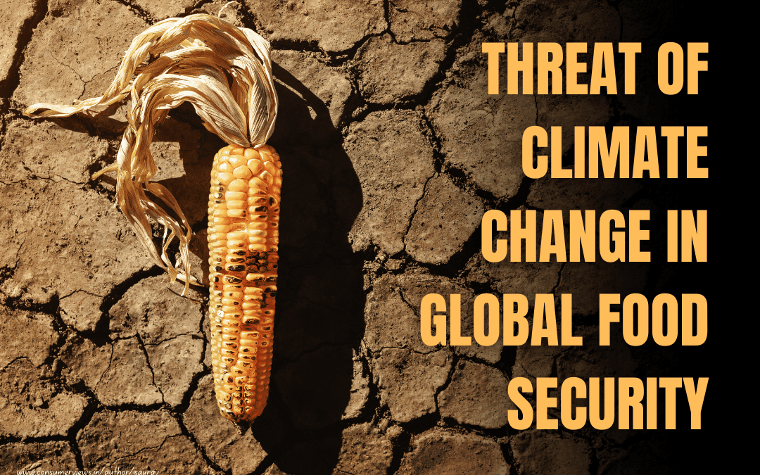 Climate Change and Global Food Security in 2024: A Looming Crisis