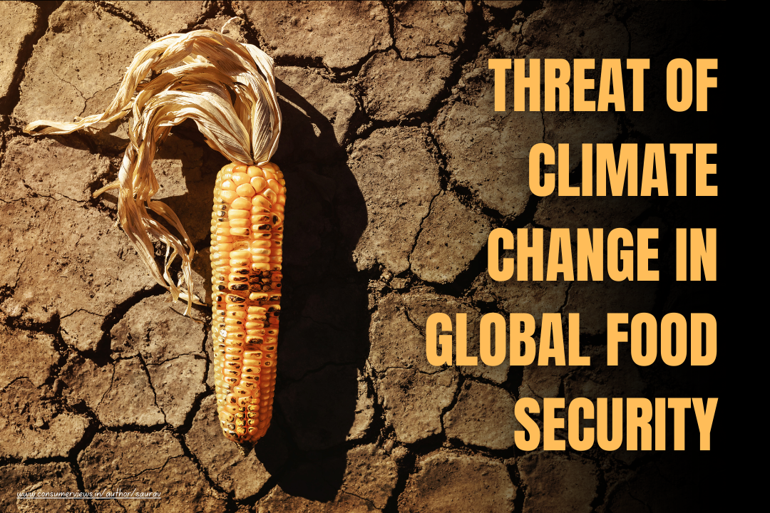 Threat of Climate Change on Global Food Security