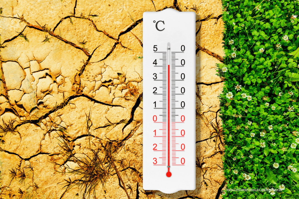 Threat of Climate Change on Global Food Security