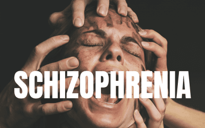 Schizophrenia:The Dark Onset of Schizophrenia 2024