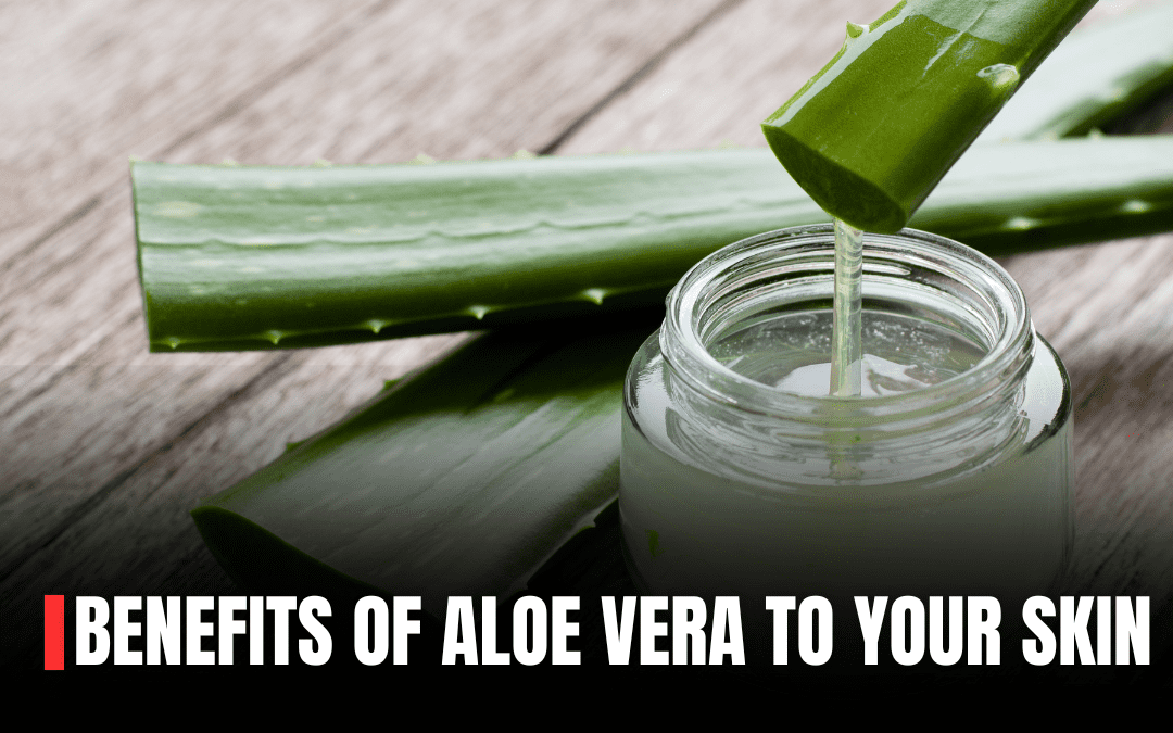 5 Unbelievable Benefits of Aloe vera gel for your skin, Pros & Cons.