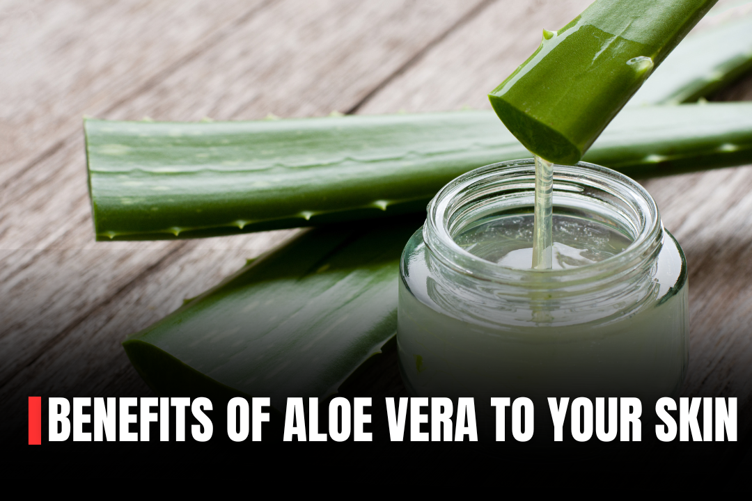 Benefits of Aloe vera gel for your skin