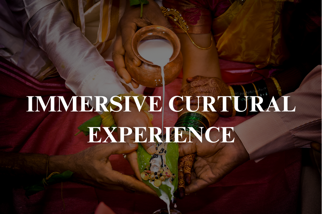 Immersive Cultural Experience Consumerviews