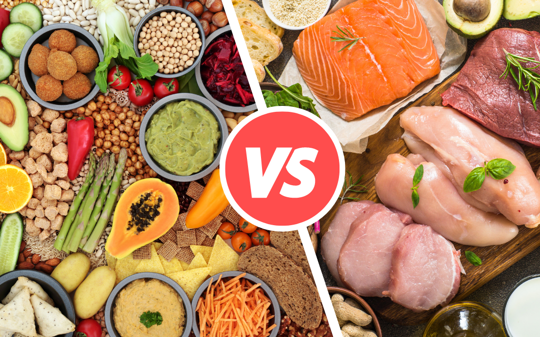 Understanding Plant Protein vs Animal Protein: Which is better?