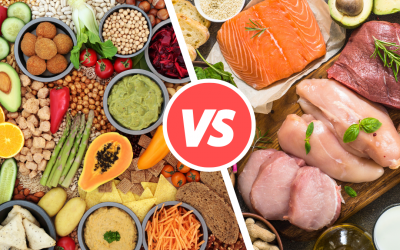 Understanding Plant Protein vs Animal Protein: Which is better?