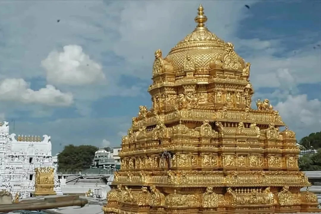 tirupati laddu