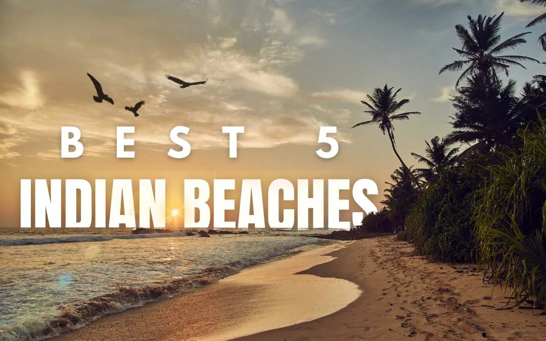 The 5 Best Sea Beach In India