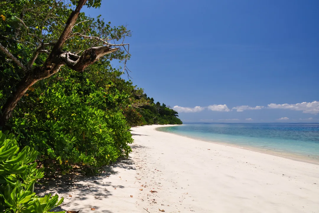 Best Sea Beach In India