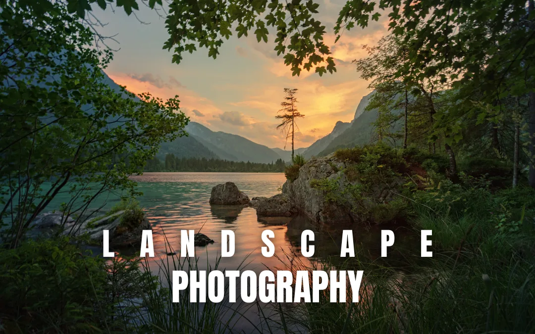 EVERYTHING about LANDSCAPE PHOTOGRAPHY